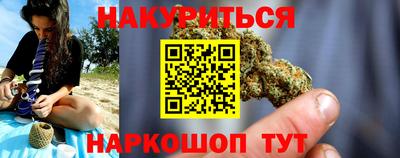 индика Пенза