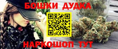 индика Пенза