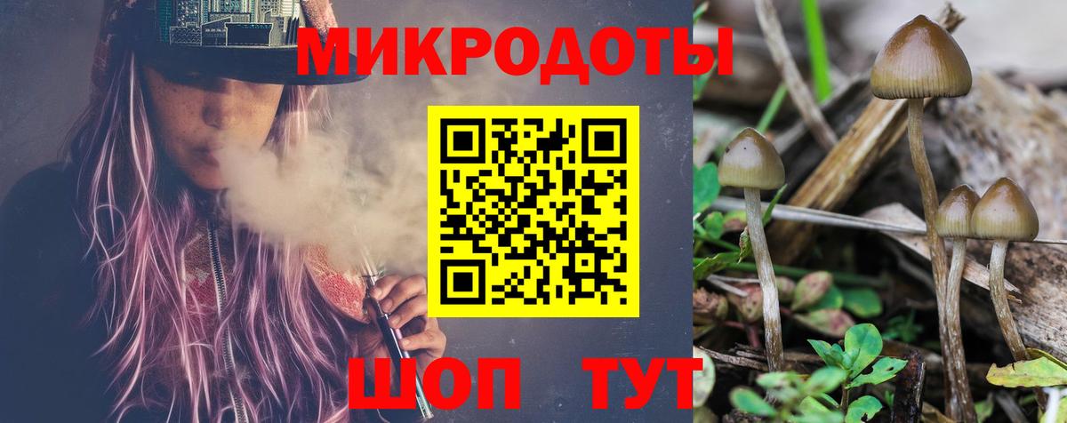 Моршанск  Галлюциногенные грибы Magic Shrooms  Вход с VPN 